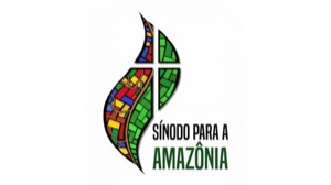 A Relevância do Sínodo especial para a Amazônia