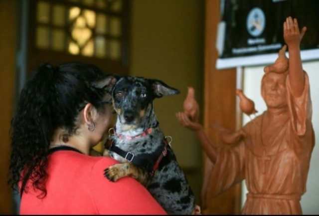 Nossa Província celebrou a Solenidade de São Francisco de Assis com grande entusiasmo e alegria