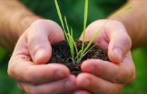 Com o agravamento na crise ambiental, a iniciativa ecumênica pelo cuidado da Criação têm ganhado força